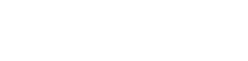 High Seas Logo