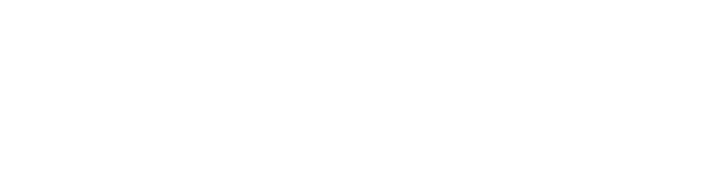 High Seas Logo